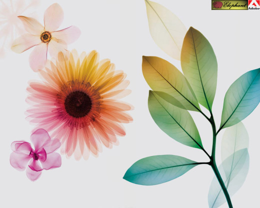 380675 (a): :1280x1024